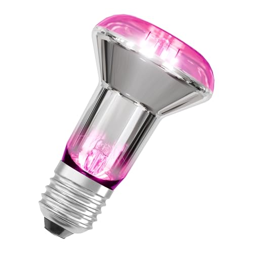 Osram Lampada Per Piante Led Star Con Filamento E 7,5 W / 140 Lm, Attacco E27, Con Luce Bianca Calda A 1300 Kelvin Che Consente Alle Piante Di Prosper