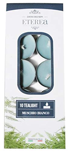 Candele Profumate Tealight Confezione 10 Pezzi Eterea Essenza Muschio Bianco 3,6X1,7 Cm