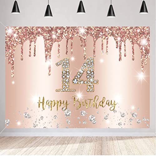 14° Compleanno Ragazza Decorazione 14° Compleanno Striscione Banner Oro Rosa 14° Compleanno Tessuto Cartello Cartello Poster 14° Compleanno Sfondo Str
