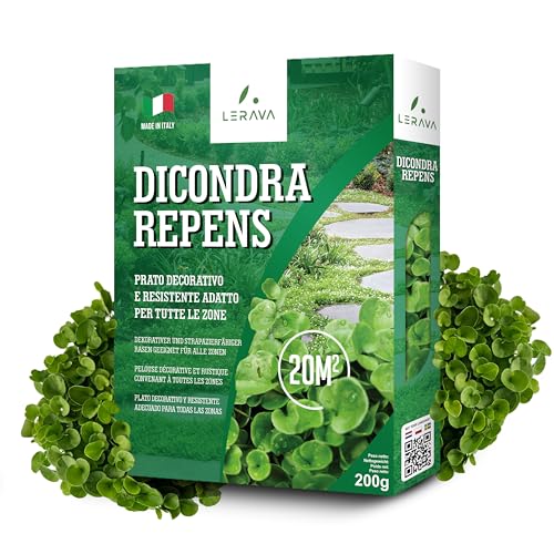 Lerava® Dicondra Semi [Non Richiede Taglio] - 20M² - Estrema Resistenza Alla Siccità - Dichondra Repens Semi Ideali Per Zone Ombreggiate E Soleggiate 
