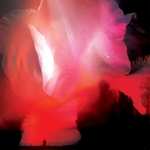 Rumskib - Red