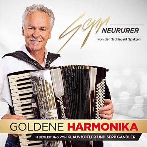 Goldene Harmonika-Instrum