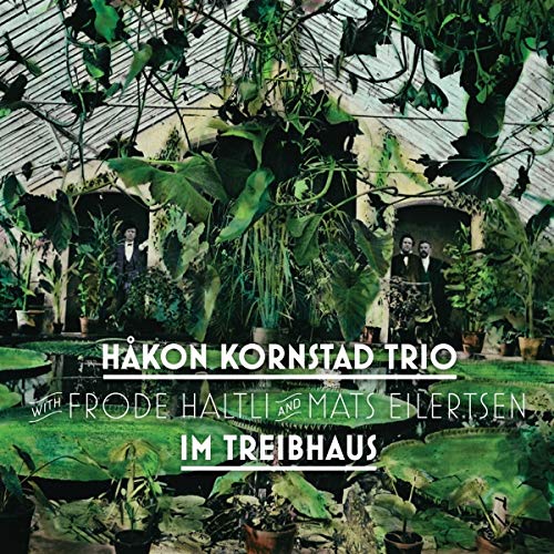 Im Treibhaus (Vinyl)