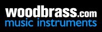 Tartaruga Battipenna Chitarra Stratocaster, S/S/S