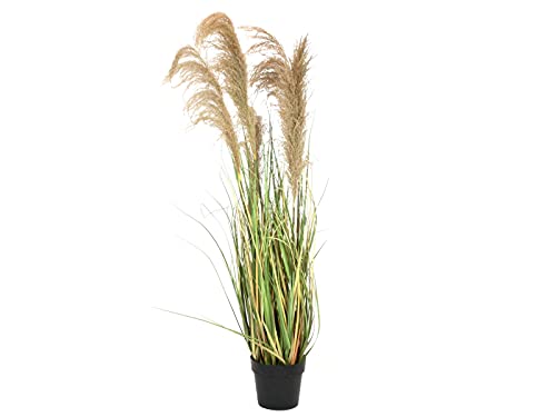 Europalms Chinaschilf Gracillimus, Artificiale, 140 Cm, Erba Di Legno Per Decorazioni Naturali Individuali