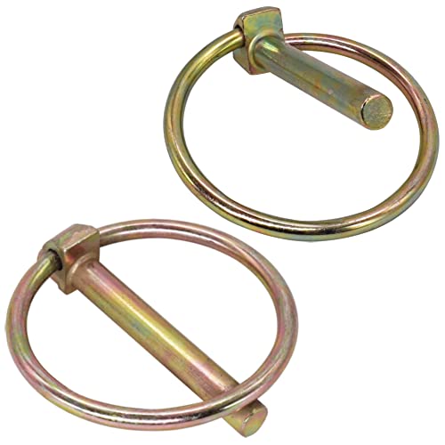 Skir'Co (2 Pezzi) Spine A Scatto In Acciaio Zincato 6 Mm, Spine A Scatto Con Bloccaggio, Din 11023, Perno In Metallo Con Anello