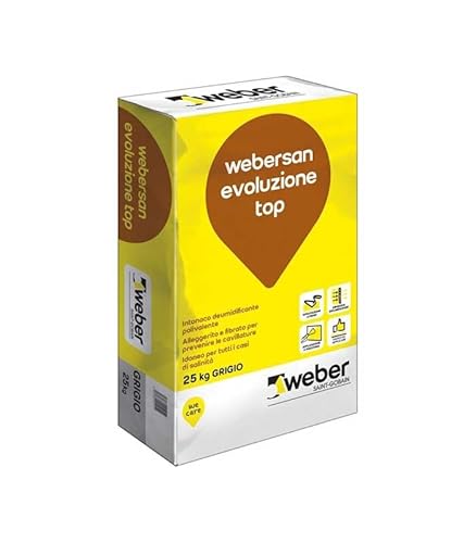 Intonaco Da Risanamento Webersan Evoluzione Top,25Kg,Grigio