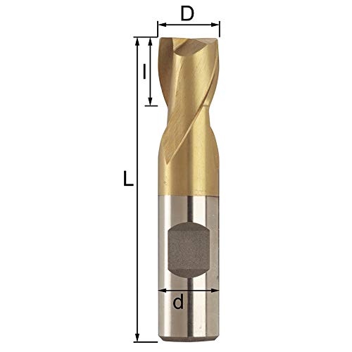 Fervi F005/10 2 Flute Fresa Codolo, 10 Mm