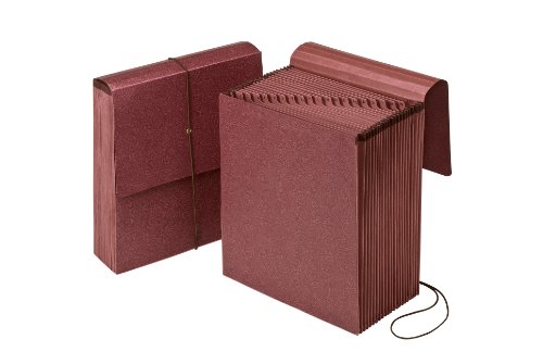 Pendaflex Vertical Rinforzato Alpha Az/21 Pocket Expanding File, Letter Size, 1 Each (14000)