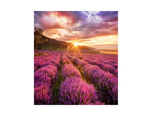 Samsung If015H-E Led