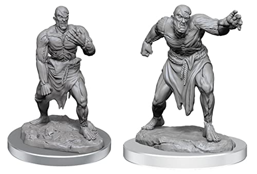 Le Meravigliose Miniature Di D&D Nolzur: Golem Di Carne